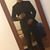 Luis Fernando's profile image
