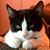 Dale W. Ochoa's profile image
