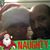 Mark Mulkey's profile image