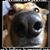 Tracy Judy's profile image