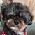 Mary Tessmer's profile image