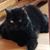 Elizabeth Biggs's profile image