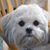 Maureen Ciardello Moeckel's profile image