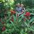 Jeffry Helm's profile image
