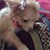 Cyndi Davis Mckay's profile image