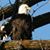 Melanie Whitlow's profile image