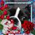 Linda Alling's profile image