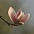 Kathy Osborne Merrett's profile image