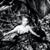 Andrea Bridges's profile image