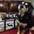 Laura OBrien Charis's profile image