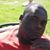 Daryl Troupe's profile image