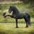 Jill Sime Cleaveland's profile image