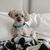 Missi Pinkston's profile image