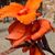 Pat O'Shea Kelly's profile image