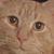 Claudia Robbins's profile image
