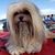 Mimi Tilton's profile image