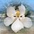 Liann Bradford Baker's profile image