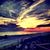 Pam Marusich Blien's profile image