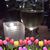 Judy Hau Griffin's profile image