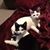 Amy Burghardt's profile image