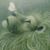 Barbara Tailer's profile image