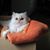 Pat Perkins's profile image