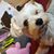Lanatta Bo Yoachum's profile image