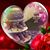 Christy Cramer's profile image