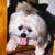 Bob Sandy Guffey's profile image