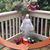 Carole Gray's profile image