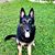 Janet Ross Goodson's profile image
