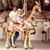 Sandra D Schluter's profile image