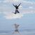 Sue Gervase's profile image