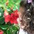 Christina O'Brien's profile image