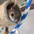 Dawn Peterson-Scherer's profile image