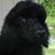 Nancy L. Bounds's profile image
