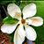 Annie Grandis-Parker's profile image