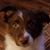 Mary Ann Drews's profile image