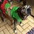 Cruz L. Rodriguez's profile image