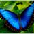 Luz De Los Santos's profile image