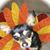 Austin McNulty's profile image