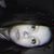 Shayla Ramey's profile image