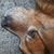 John Rima's profile image
