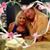 Gail Lester's profile image