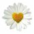 Brenda Allen's profile image