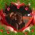 Castillo Angel's profile image