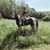 Amelia Sage Braman's profile image