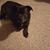 Ashley Bretthauer's profile image