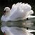Patricia Rowley's profile image