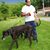 Robert Pastore's profile image